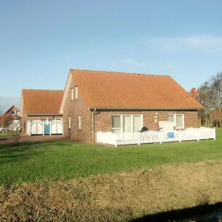 Muschel 2 * Bensersiel